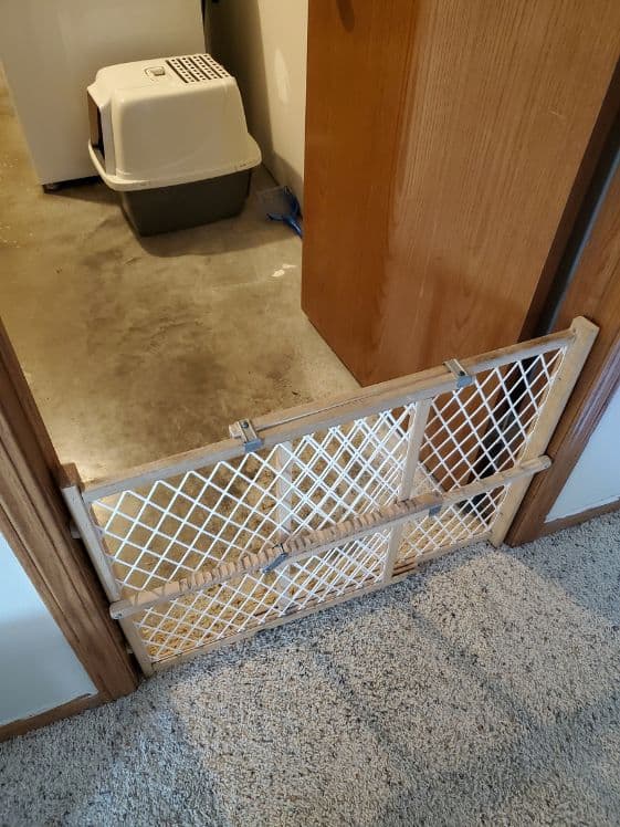 A baby gate in the doorway blocking access to a litter box.