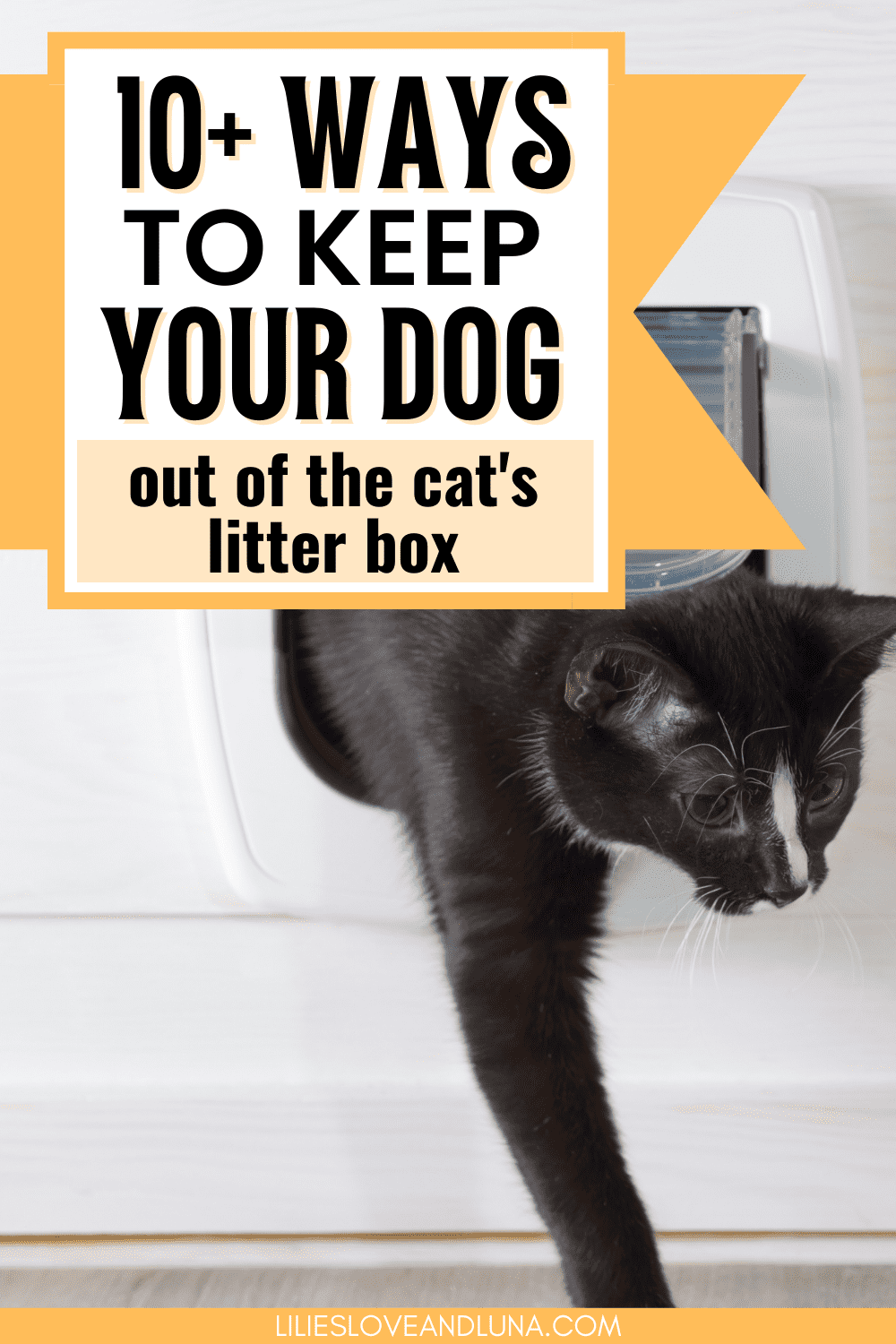 Pin image for 10+ ways to keep your dog out of the cat's litter box with an image of a cat coming out of a cat door.