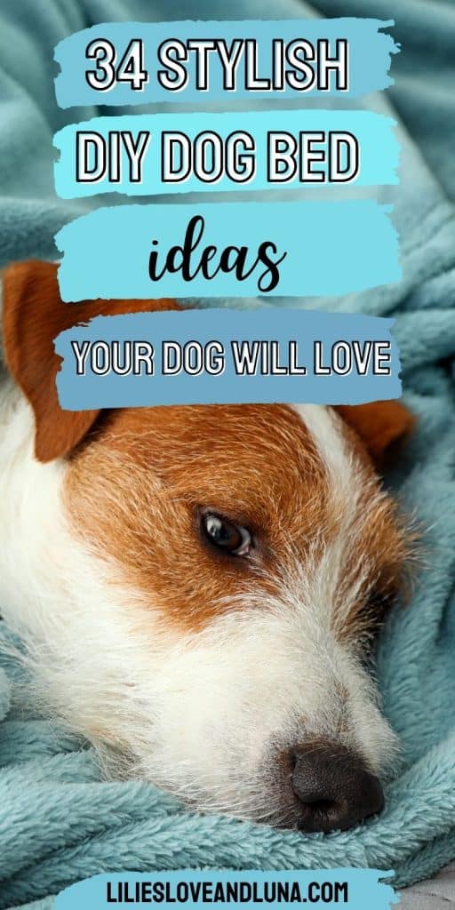 Pin image for 34 stylish DIY dog bed ideas your dog will love with a dog laying on a blanket.