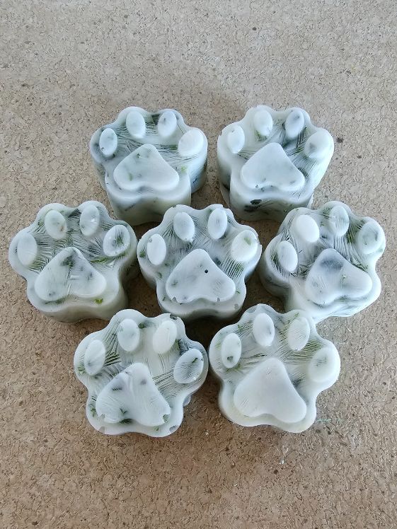 Paw shaped frozen fresh breath dog treats