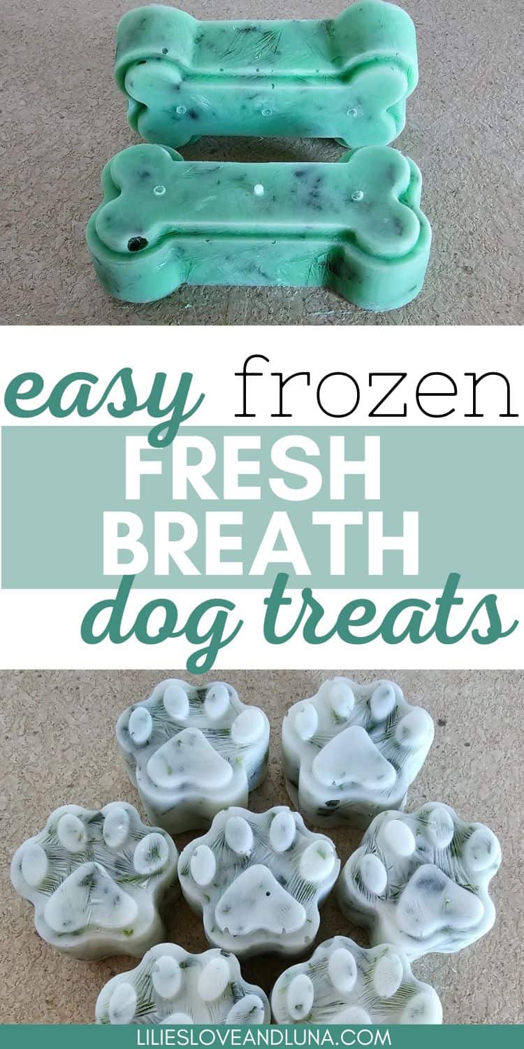 Pin image for easy frozen fresh breath dog treats with an image of bone shaped treats and paw shaped treats.