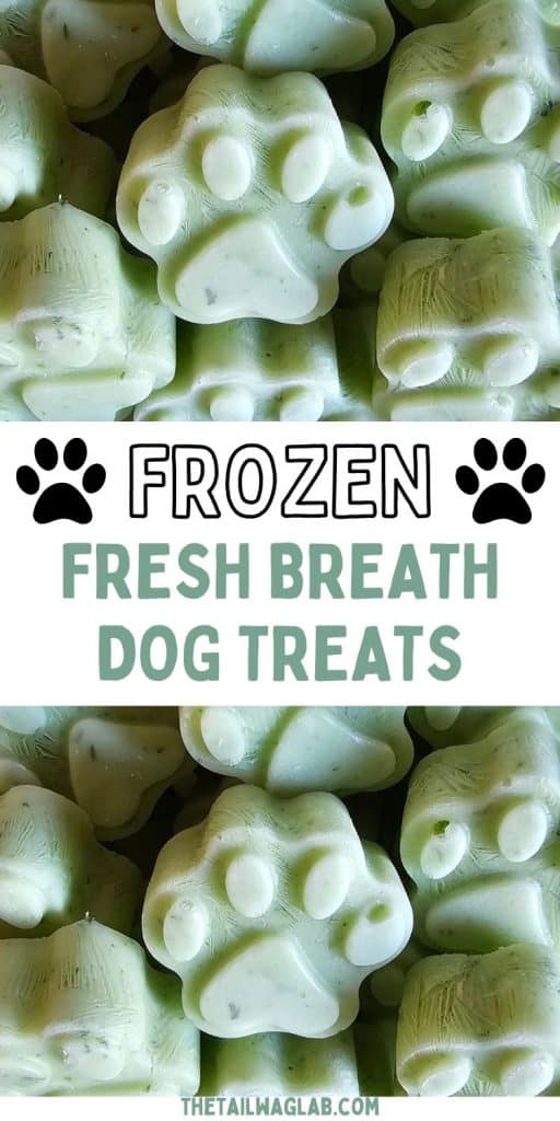 Frozen Fresh Breath Dog Treats made with mint, parsley, and Greek yogurt. Close-up of green paw and bone-shaped frozen dog treats with the title "Frozen Fresh Breath Dog Treats."