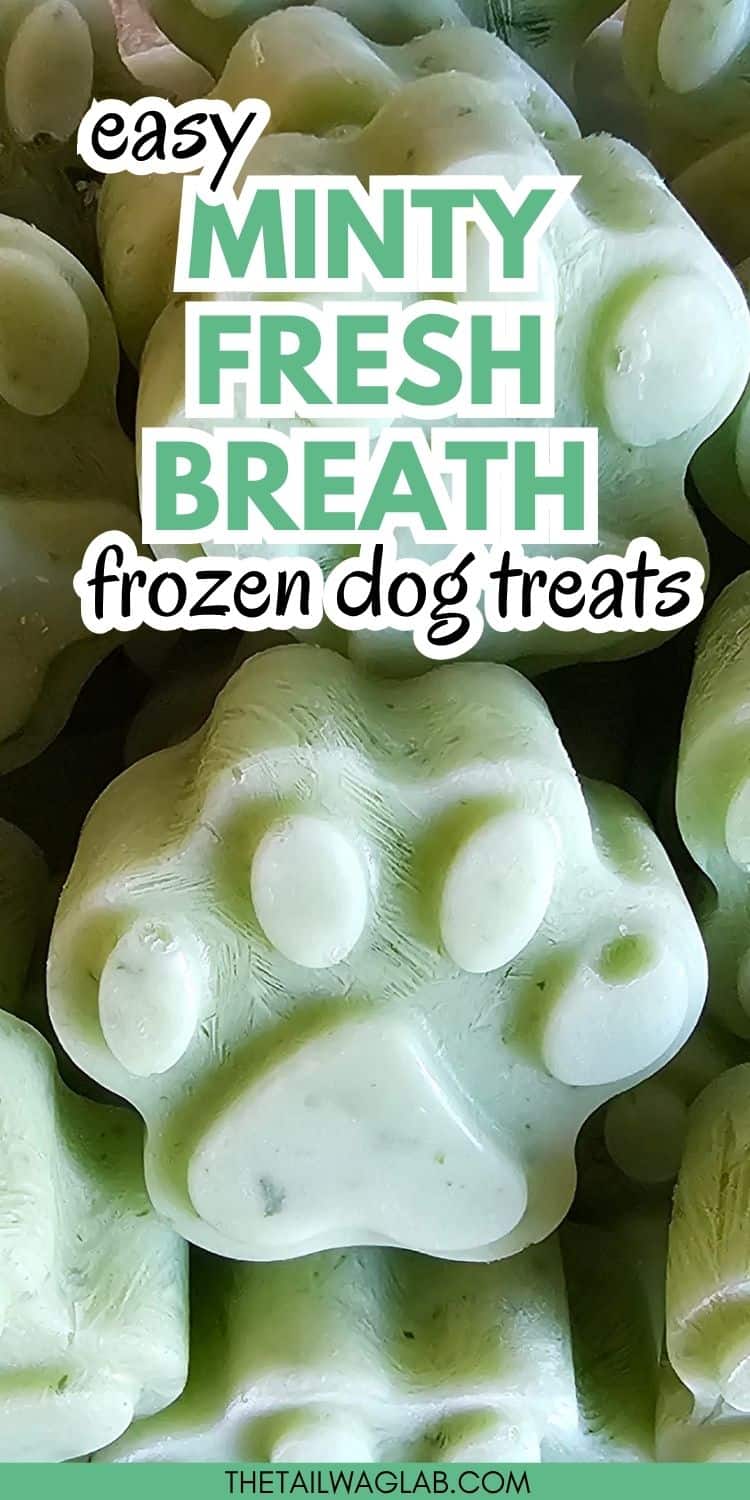 Easy Minty Fresh Breath Frozen Dog Treats made with dog-friendly mint, curly parsley, and Greek yogurt. Close-up photo of homemade frozen dog treats.