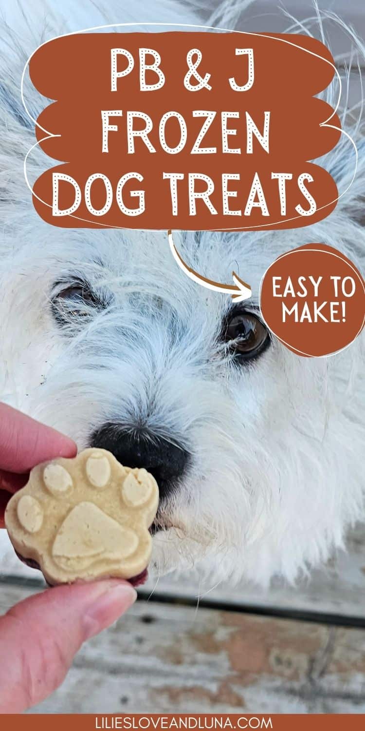 Pin image for pb & j frozen dog treats with a white dog looking at a paw shaped treat.