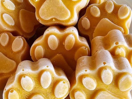 Close up of paw shaped pumpkin ice cream for dogs.