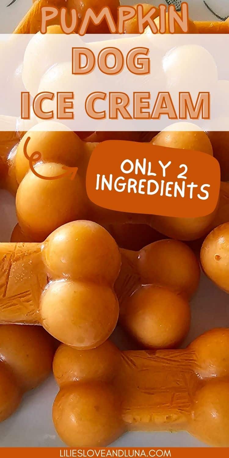 Pin image of bone shaped frozen dog treats with a text overlay that reads easy homemade pumpkin dog ice cream: only 2 ingredients.