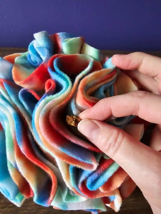 Putting treats in the snuffle ball made from fleece circles.