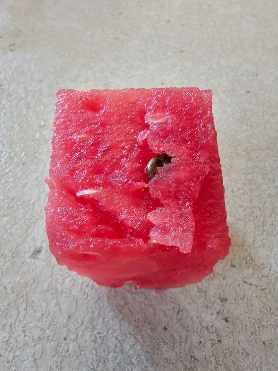 A cube of watermelon with a black seed in it.