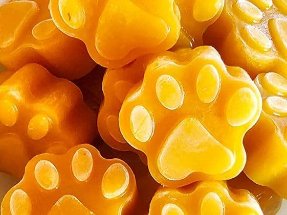 Paw shaped frozen pumpkin applesauce dog treats.