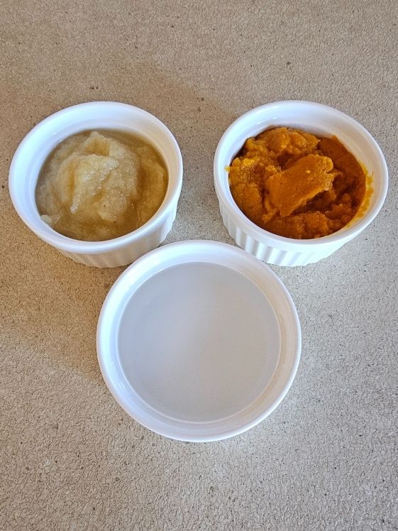 Applesauce, pumpkin puree, and water in individual white bowls.