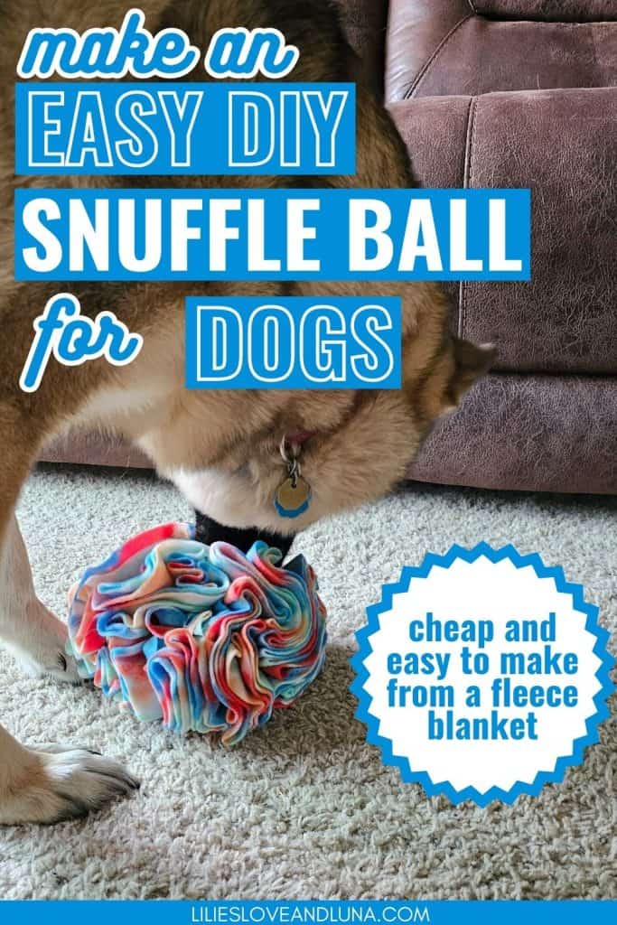 Pin image of a German Shepherd playing with a snuffle ball with a text overlay that reads make an easy diy snuffle ball for dogs (cheap and easy to make from a fleece blanket).