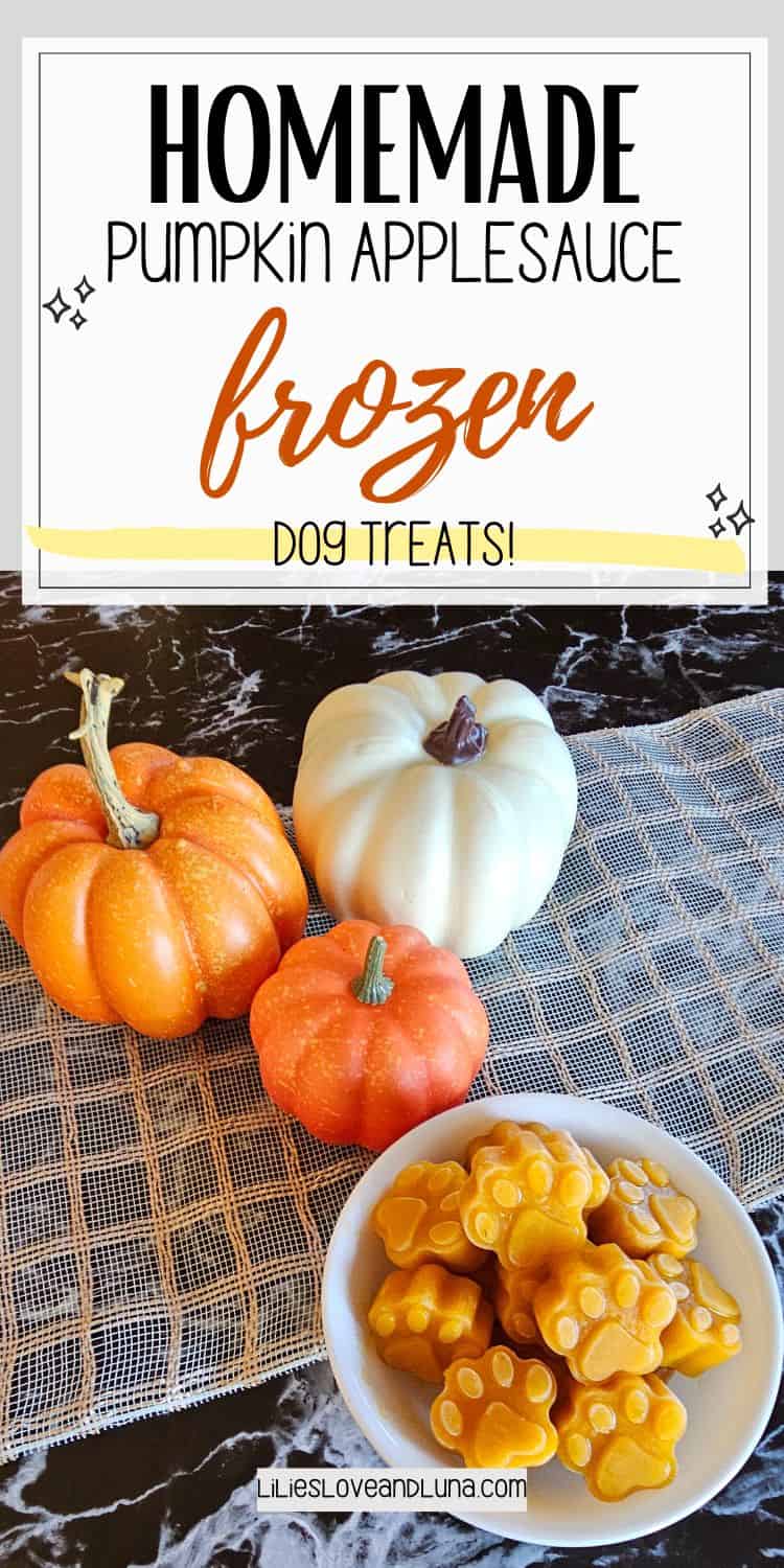 Frozen Pumpkin Applesauce Dog Treats - The Tailwag Lab