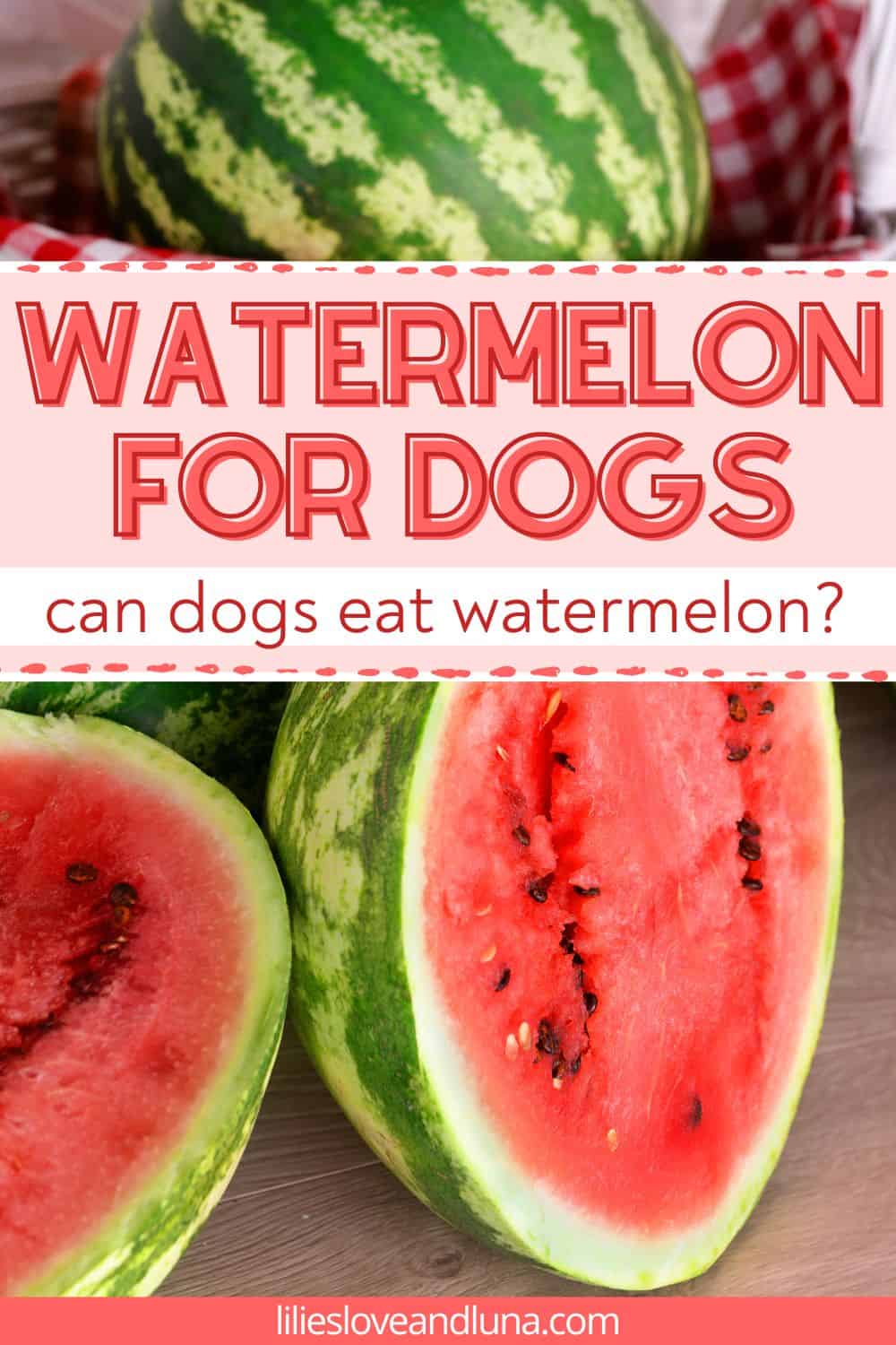 Pin image of a cut watermelon and two whole watermelons with a text overlay that reads watermelon for dogs: can dogs eat watermelon?