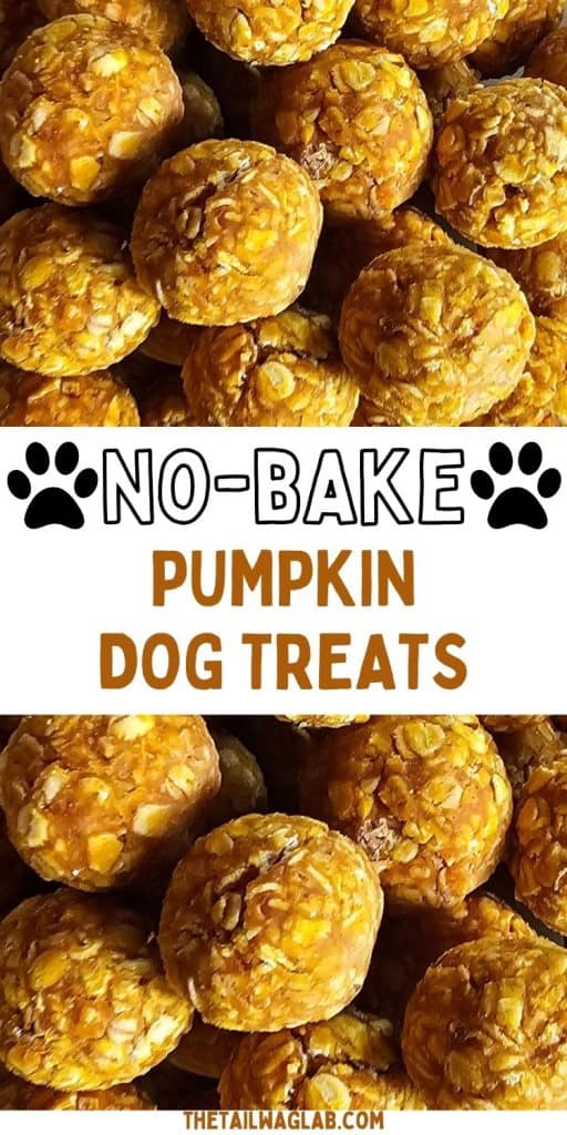 Close-up photos of round pumpkin oat dog treats with a white center banner reading “No-Bake Pumpkin Dog Treats” and black paw prints.