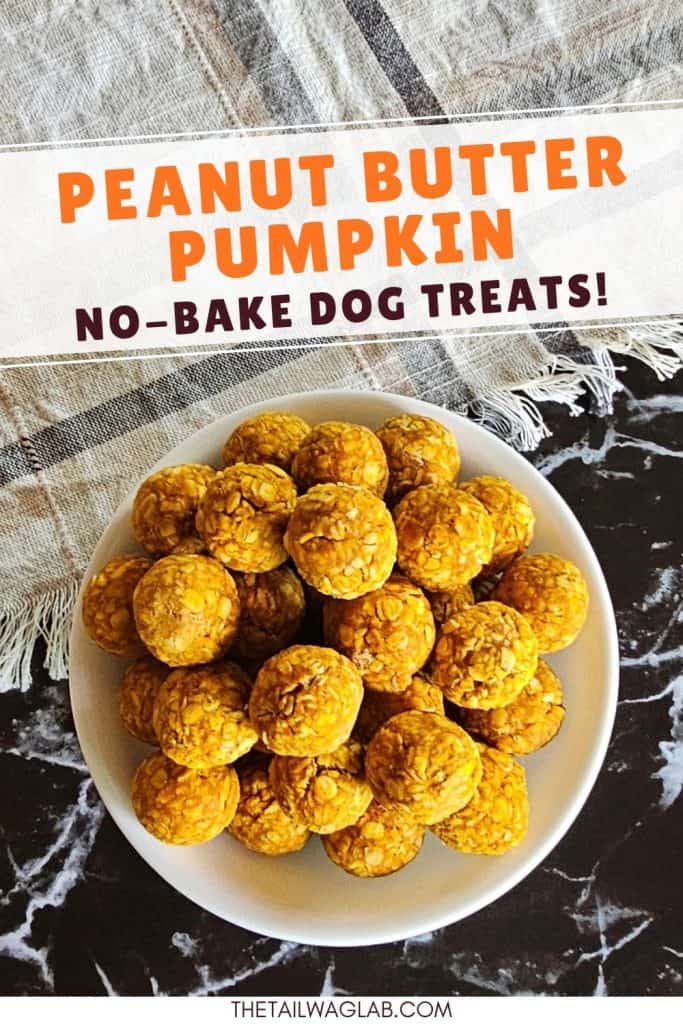 Bowl of round peanut butter pumpkin dog treats on a dark marble surface with text reading “Peanut Butter Pumpkin No-Bake Dog Treats.”