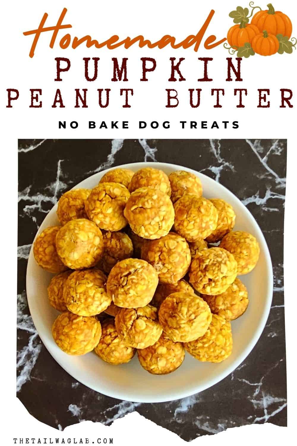 Homemade pumpkin peanut butter dog treats piled on a white plate with a small pumpkin illustration and text reading “Homemade Pumpkin Peanut Butter No Bake Dog Treats.”