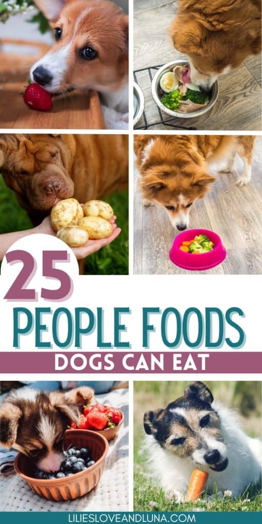 Pin image of a collage of pictures with a dog biting a strawberry, a dog eating from a bowl of cooked chicken, broccoli, and eggs, a dog sniffing potatoes, a dog sniffing a bowl of broccoli and carrots, a dog with their head in a bowl of blueberries, and a dog eating a carrot. A text overlay reads 25 people foods dogs can eat.