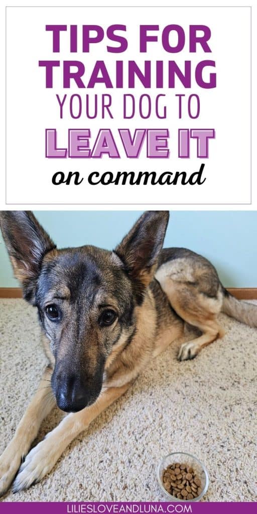 Pin image of a German Shepherd lying next to a bowl of kibble with a text overlay that reads tips for training your dog to leave it on command.