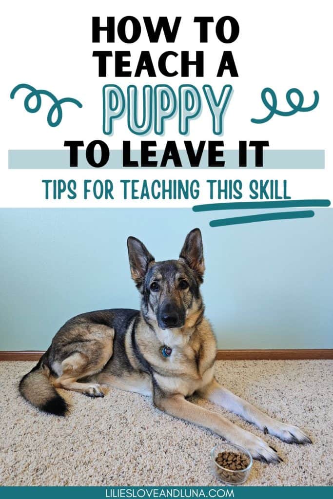 Pin image of a German Shepherd lying next to a bowl of kibble with a text overlay that reads how to teach a puppy to leave it: tips for teaching this skill.