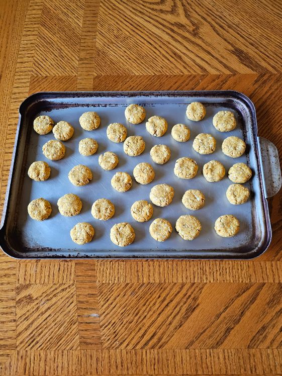 Pumpkin yogurt no bake dog treats on a pan ready to go in the fridge.