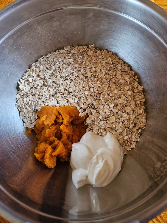 Oats, pumpkin, and Greek yogurt in a mixing bowl.