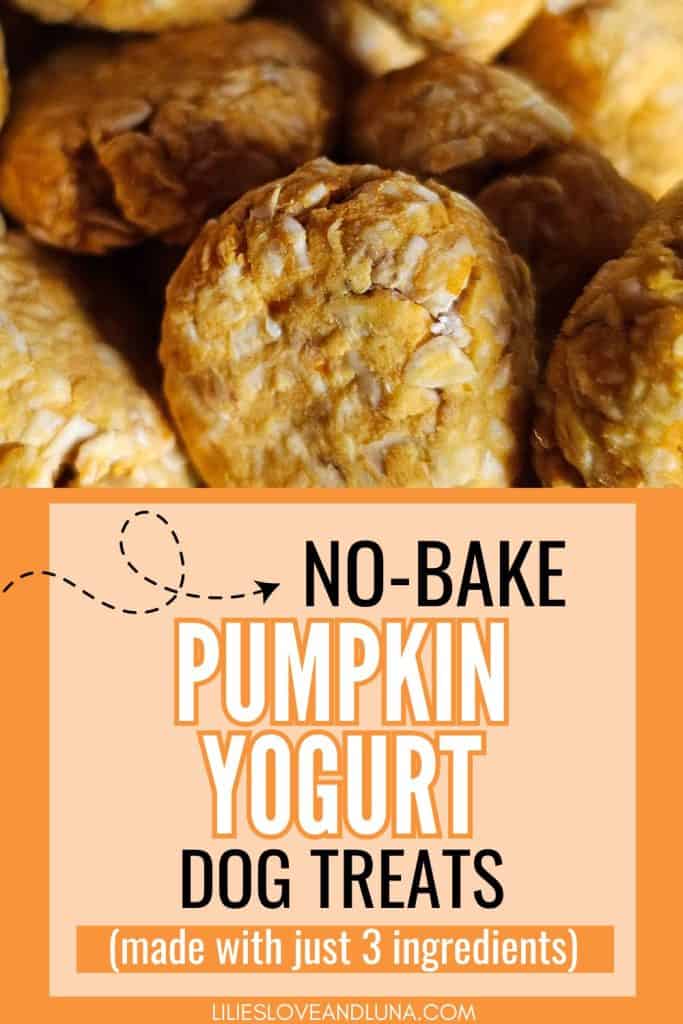 Pin image of a closeup of homemade dog treats with a text overlay that reads no bake pumpkin yogurt dog treats (made with only 3 ingredients).