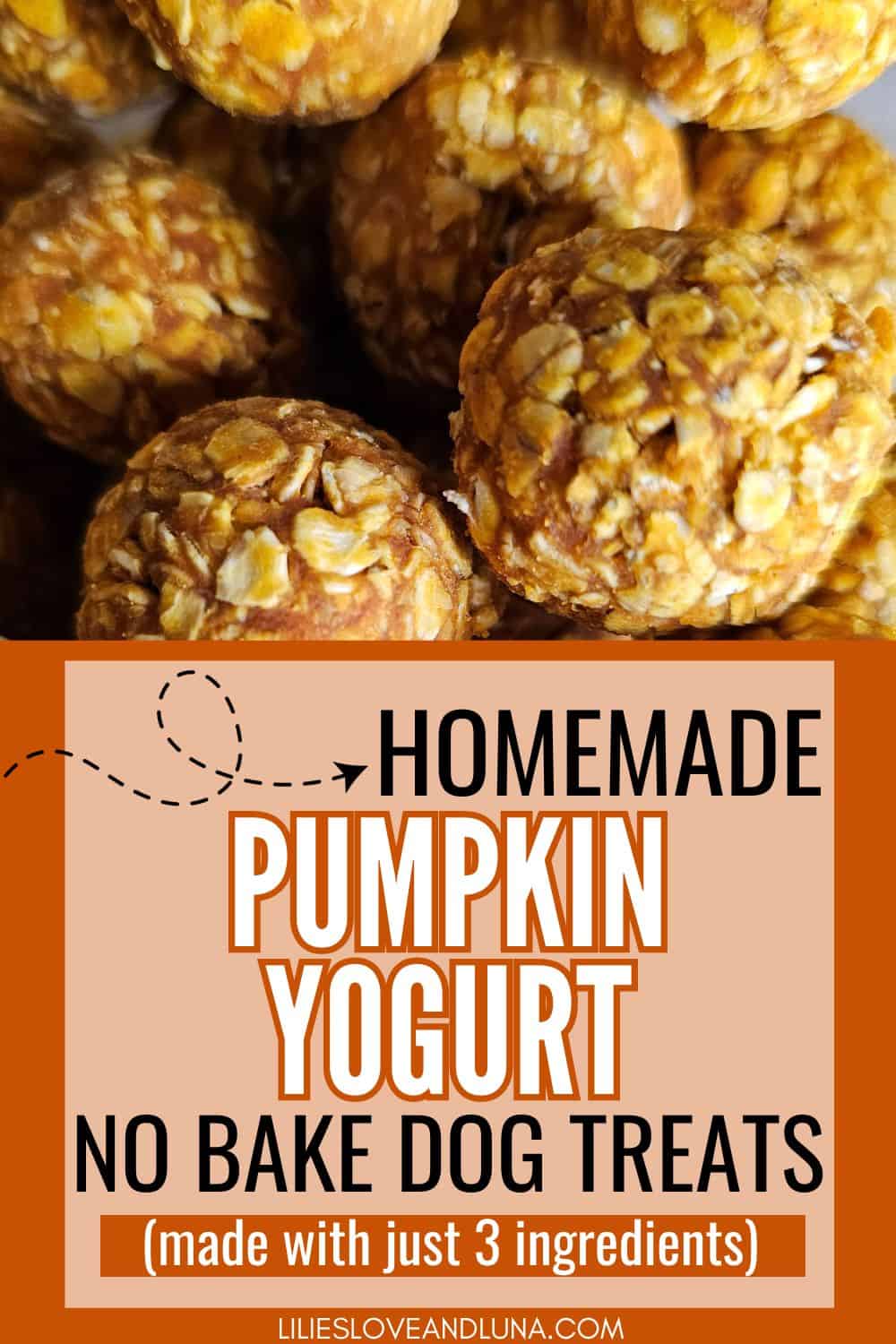 Pin image of a closeup of homemade dog treats with a text overlay that reads homemade pumpkin yogurt no bake dog treats (made with just 3 ingredients).