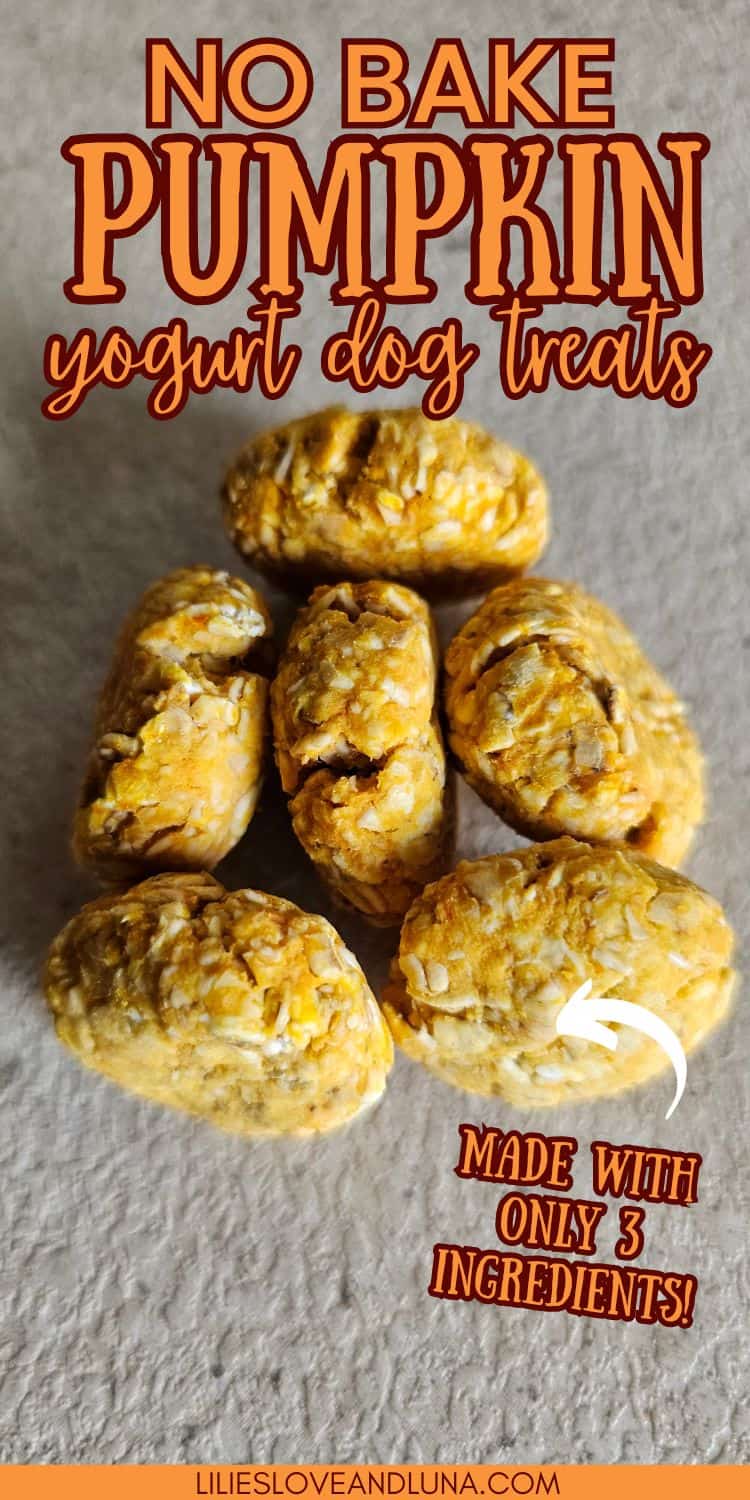 Pin image of a closeup of homemade dog treats with a text overlay that reads no bake pumpkin yogurt dog treats: made with only 3 ingredients.