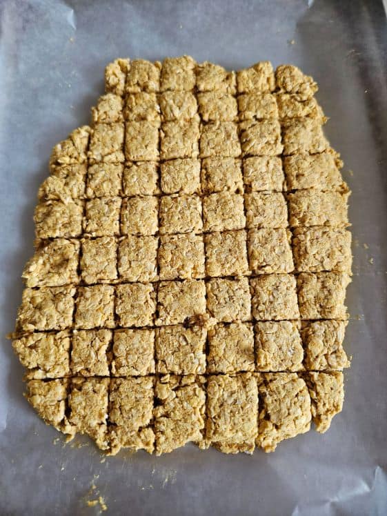 Apple pumpkin dog treats cut into small squares.