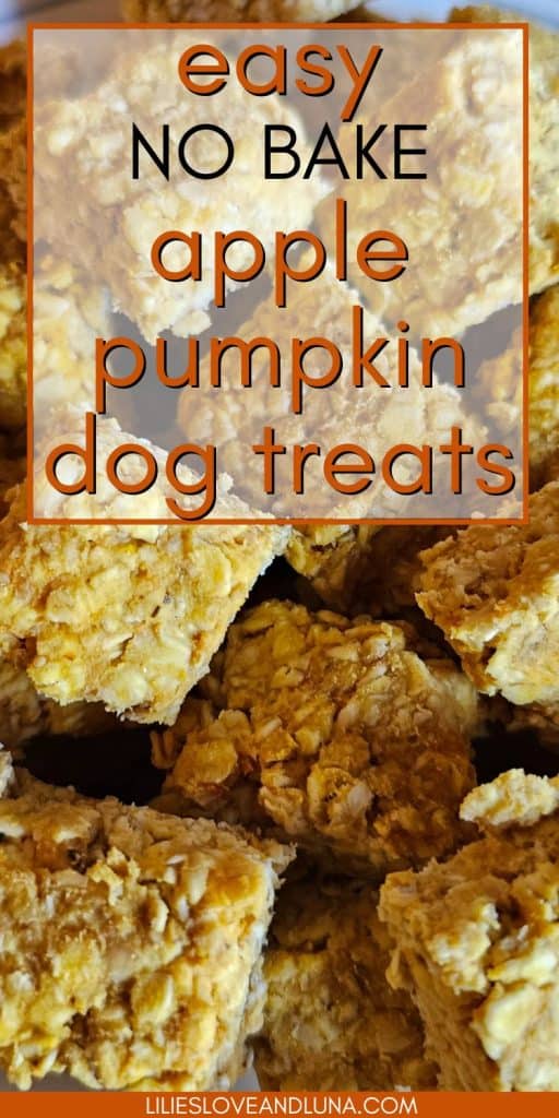 Pin image of apple pumpkin dog treats with a text overlay that reads easy no bake apple pumpkin dog treats.