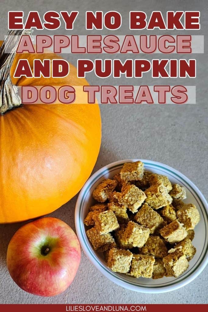 Pin image of a pumpkin next to an apple and a bowl of pumpkin applesauce dog treats with a text overlay that reads easy no bake applesauce and pumpkin dog treats.
