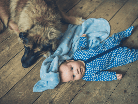 A dog laying next to a baby on the floor.