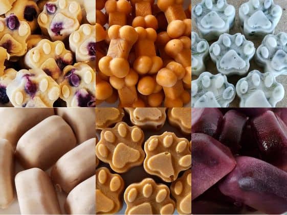 A collage of frozen dog treats.