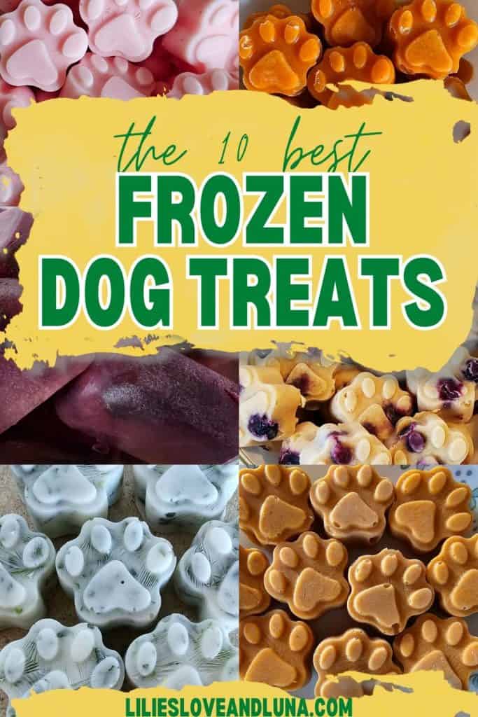 Pin image of a collage of frozen dog treats with a text overlay that reads the 10 best frozen dog treats.