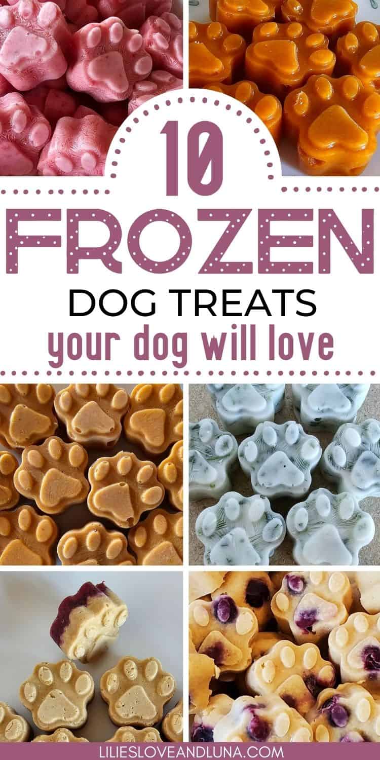 Pin image of a collage of frozen dog treats with a text overlay that reads 10 frozen dog treats your dog will love.