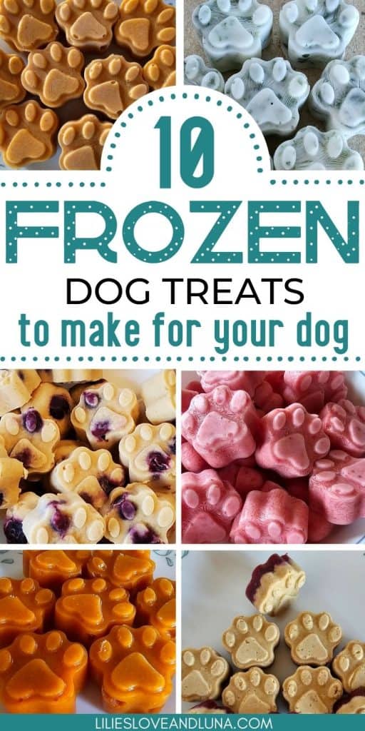 Pin image of a collage of frozen dog treats with a text overlay that reads 10 frozen dog treats to make for your dog.