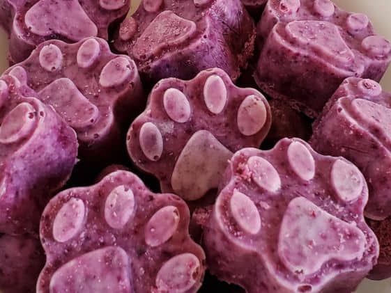 A closeup of blueberry frozen dog treats.