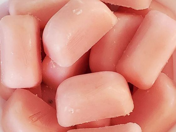 Frozen watermelon and yogurt dog treats