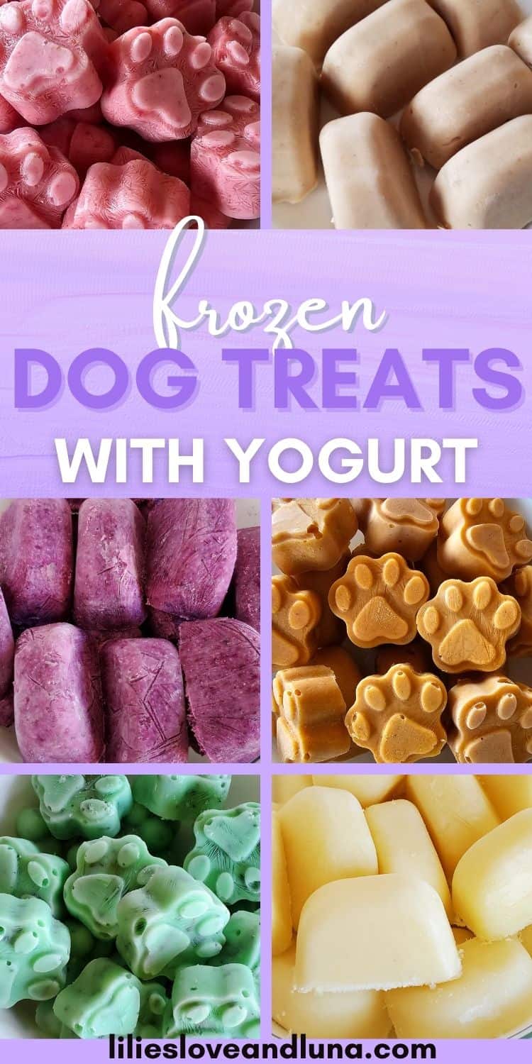 Pin image of a collage of frozen dog treats with a text overlay that reads frozen dog treats with yogurt.