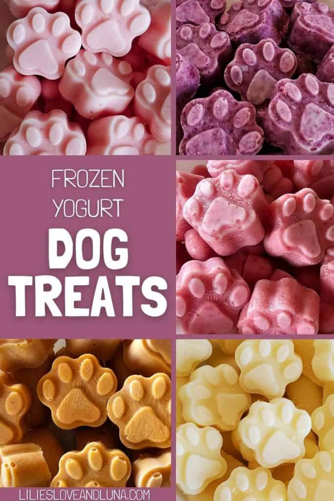Pin image of a collage of frozen dog treats with a text overlay that reads frozen yogurt dog treats.