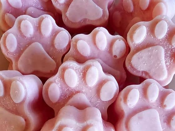Close up of paw shaped watermelon ice cream.
