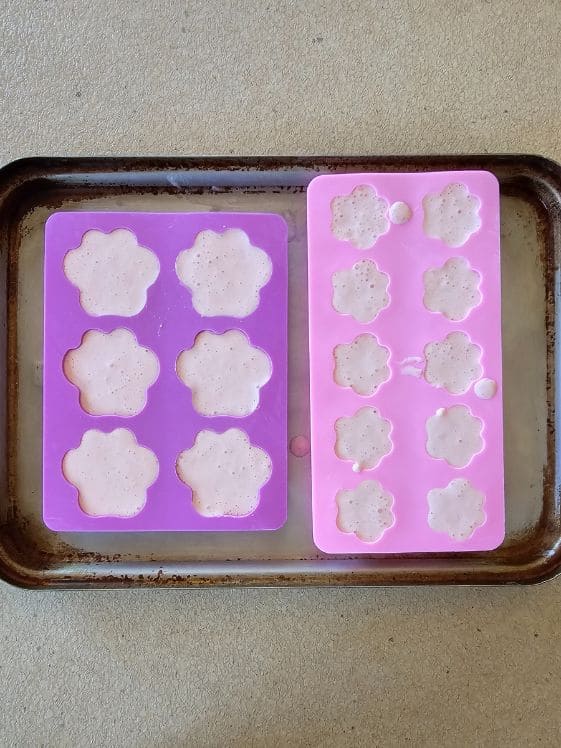 Watermelon and yogurt blended and in paw shaped molds.