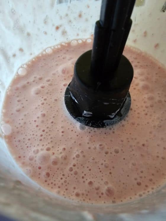 Watermelon and yogurt puree in a food processor.
