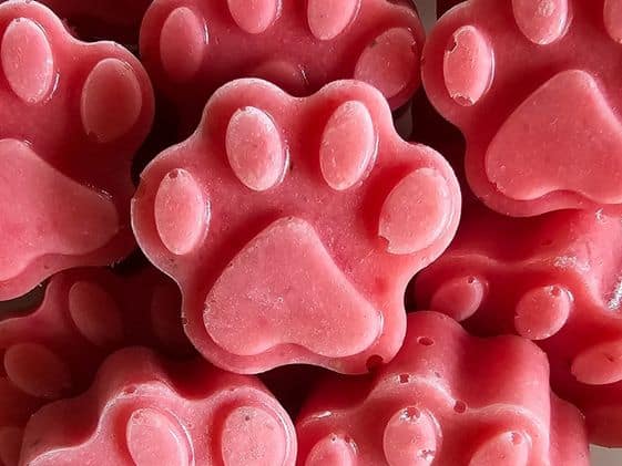 Paw shaped strawberry pineapple frozen dog treats.
