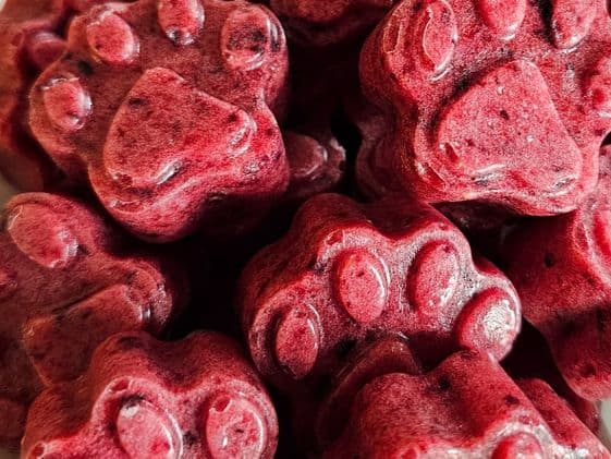 Close up of paw shaped frozen banana berry dog treats.