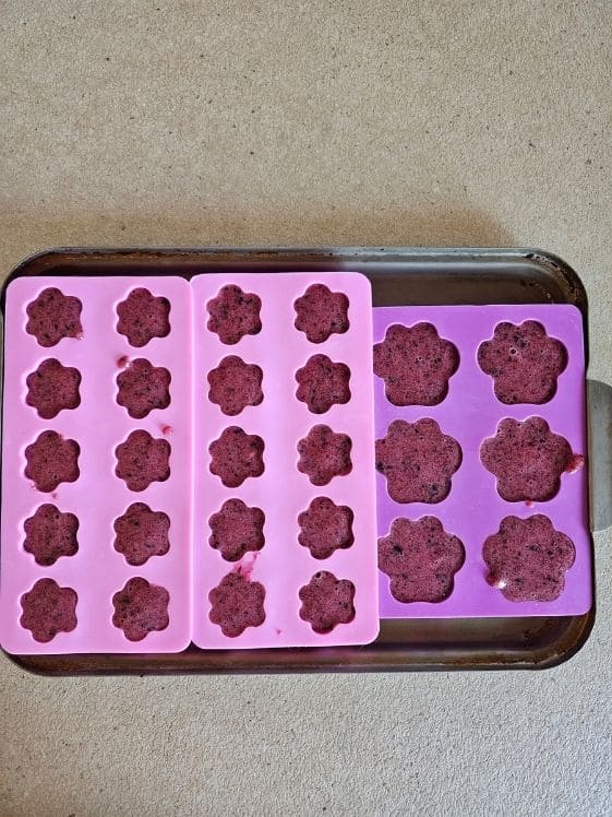 Paw shaped silicone molds filled with the banana berry dog treat mixture.