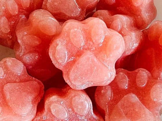 Paw shaped frozen banana watermelon frozen dog treats.