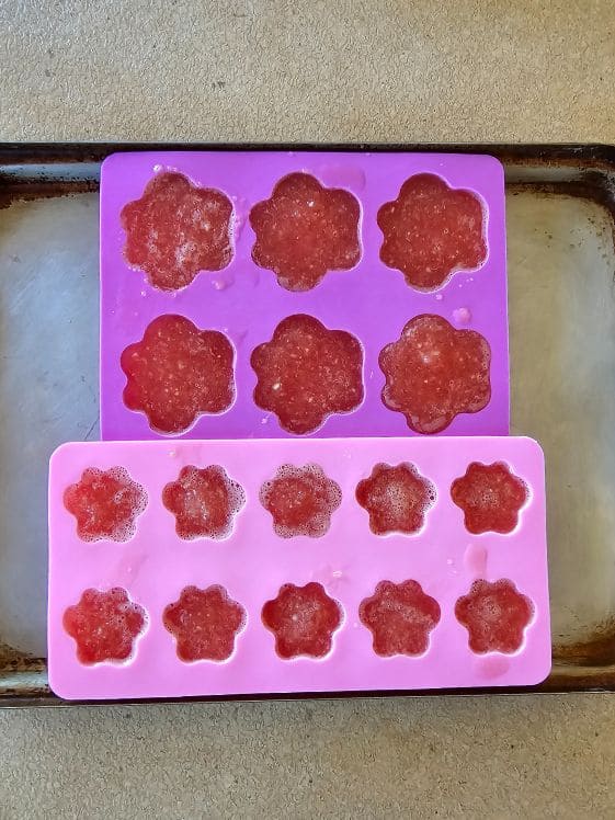 Paw shaped silicone molds filled with banana watermelon puree.
