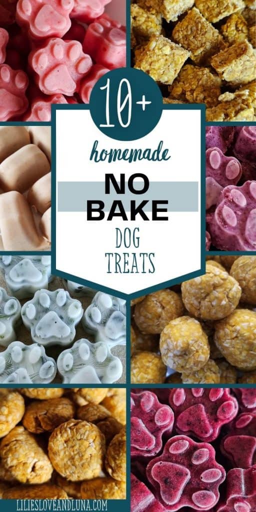 Pin image of dog treats with a text overlay that reads 10+ homemade no bake dog treats.