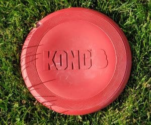 A Kong flyer in the grass.